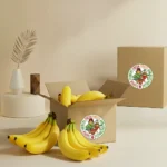 Chiquita Organic Bananas
