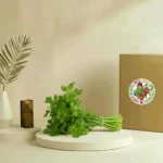 Coriander Leaves (Dhania) Premium