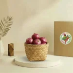Onion Red