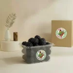 Blackberry