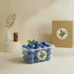 Blueberry