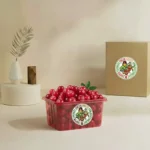 Cranberry Fresh