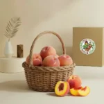 Nectarine