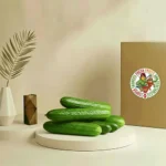 Organic cucumber