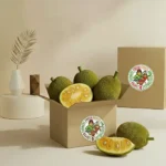 Jackfruit Tender